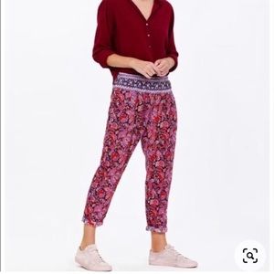 Xirena small Payton floral pant red purple navy small pull on beach